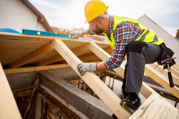 Best Roof Maintenance Services  in Aberdeen, MS