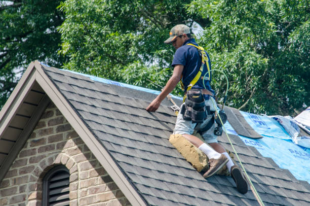 Professional Roofing Contractor in Aberdeen, MS